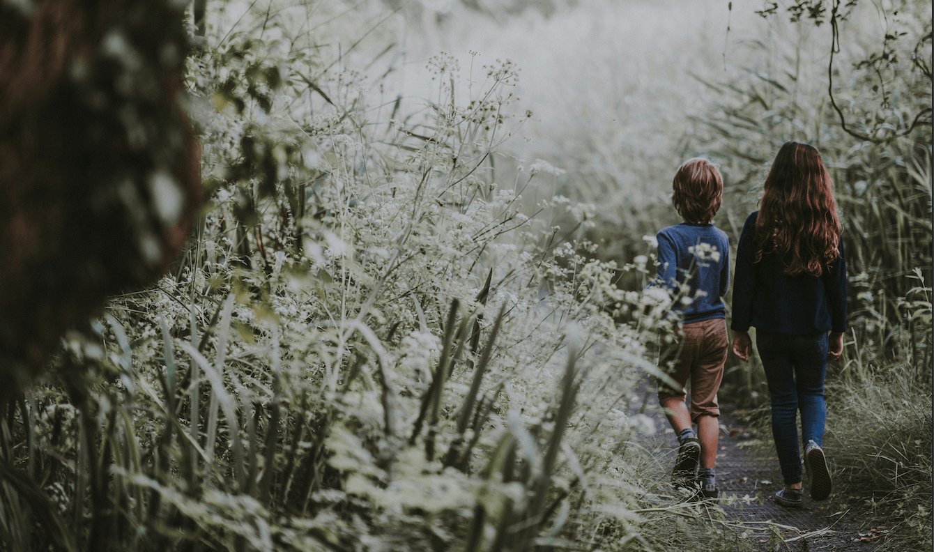 Les écoles de la forêt face à la saturation numérique des enfants