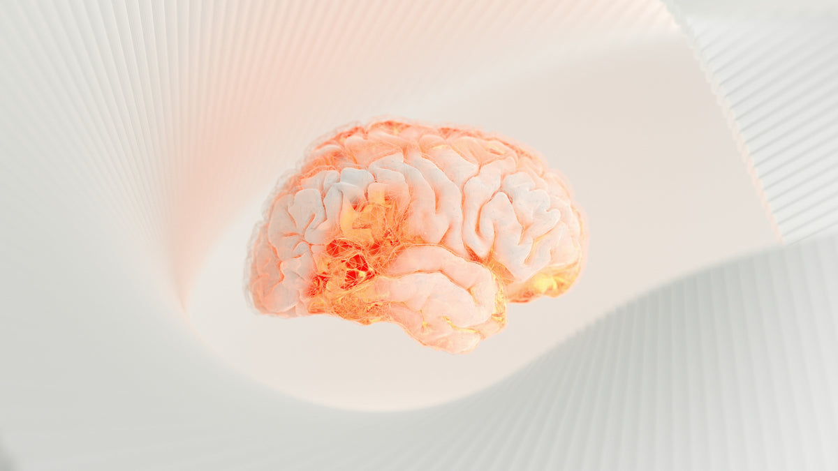 Les effets mesurables des écrans sur le cerveau en développement